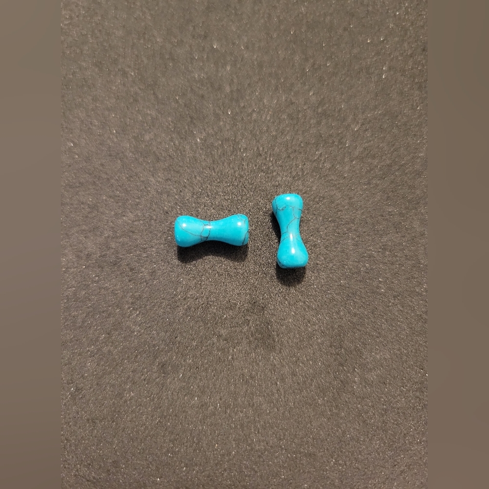 Turquoise Double Flare Plugs